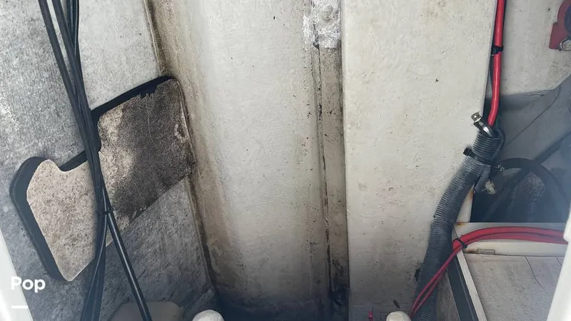 Slide: The Image of Cobalt 240 2004 - 15675616