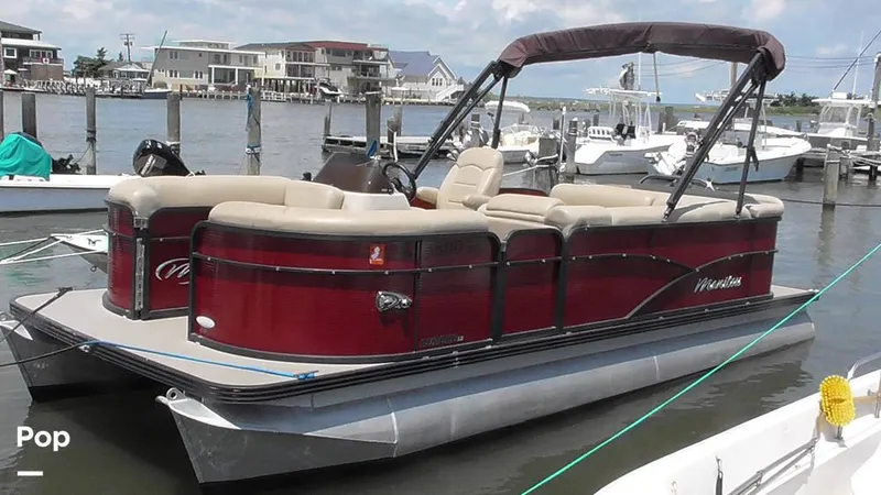 The Image of Manitou 20 Aurora LE 2019 - 15665186