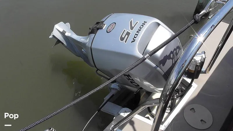 Slide: The Image of Manitou 20 Aurora LE 2019 - 15665193