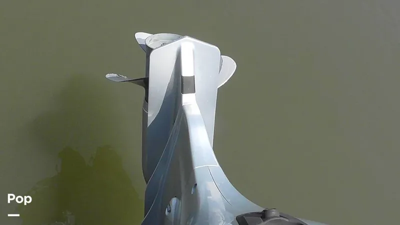 Slide: The Image of Manitou 20 Aurora LE 2019 - 15665199