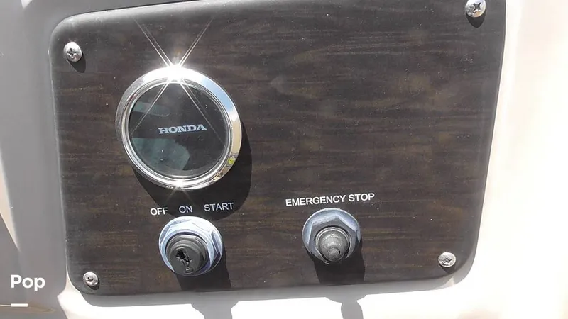 Slide: The Image of Manitou 20 Aurora LE 2019 - 15665207