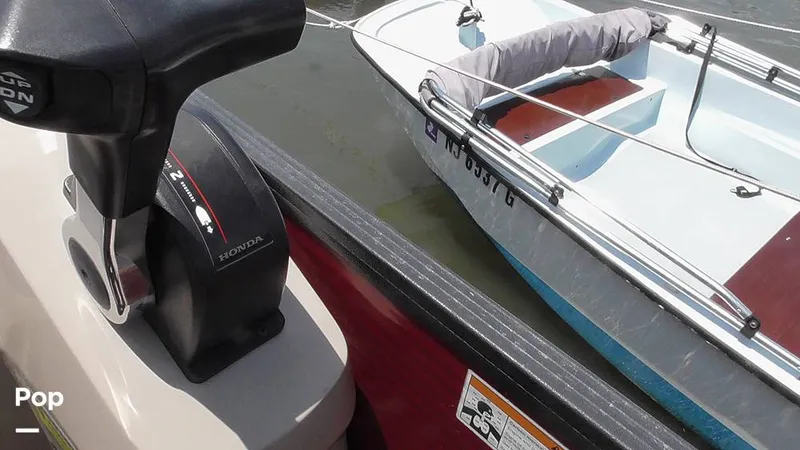 Slide: The Image of Manitou 20 Aurora LE 2019 - 15665211