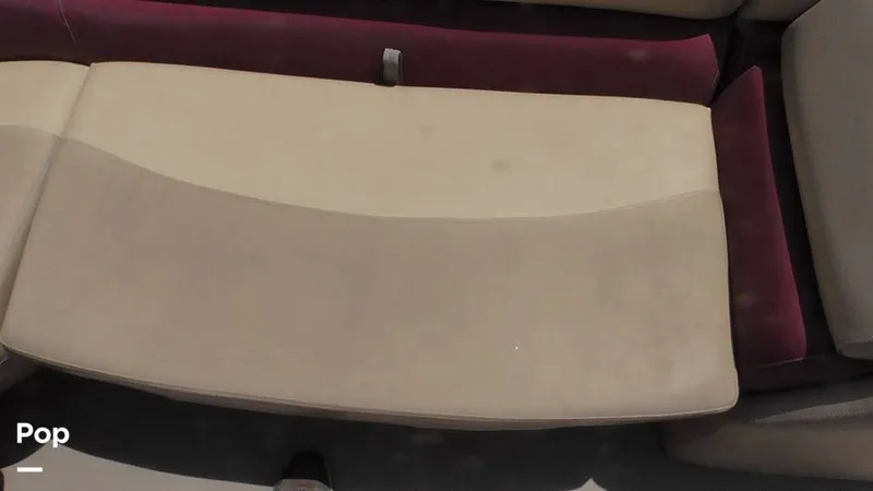 Slide: The Image of Manitou 20 Aurora LE 2019 - 15665220