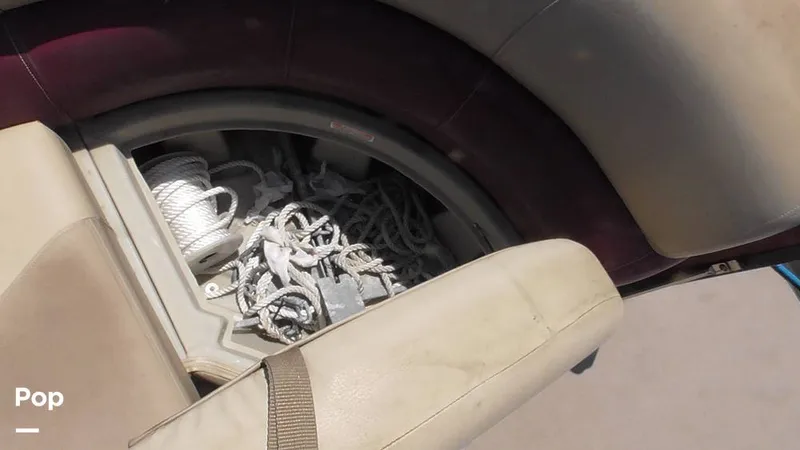 Slide: The Image of Manitou 20 Aurora LE 2019 - 15665229