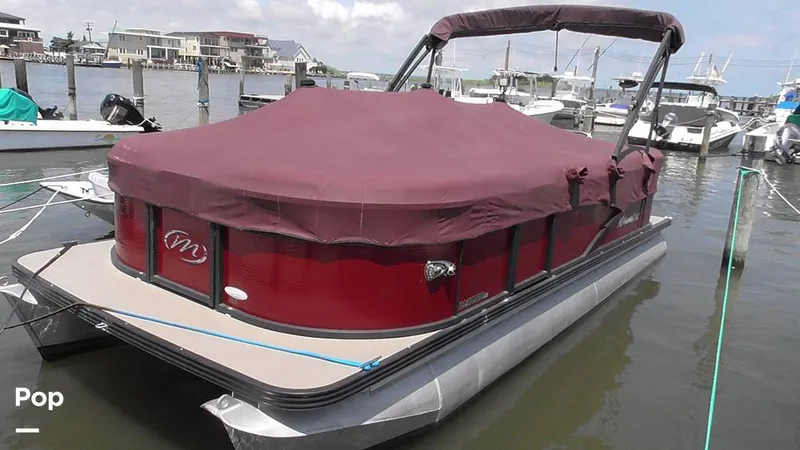 Slide: The Image of Manitou 20 Aurora LE 2019 - 15665184