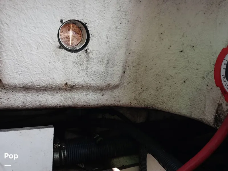 Slide: The Image of Sea Ray 260 Sundeck 2011 - 15693841