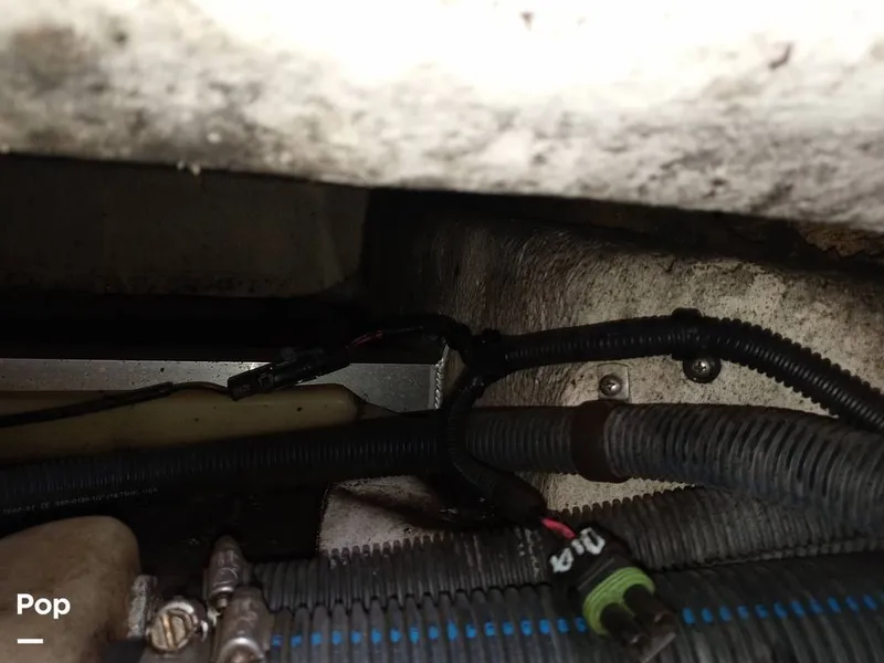 Slide: The Image of Sea Ray 260 Sundeck 2011 - 15693843