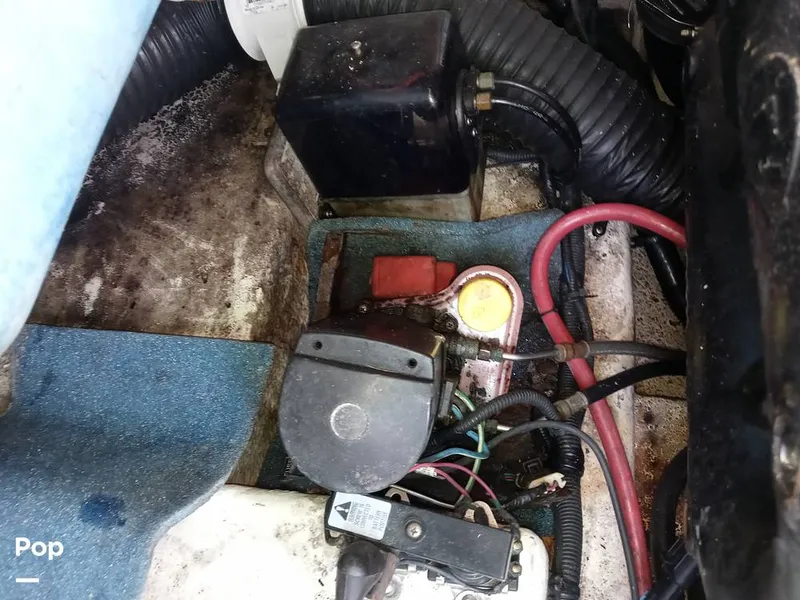 Slide: The Image of Sea Ray 260 Sundeck 2011 - 15693847