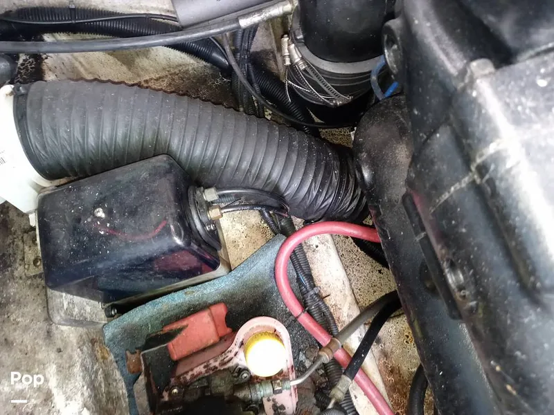 Slide: The Image of Sea Ray 260 Sundeck 2011 - 15693848