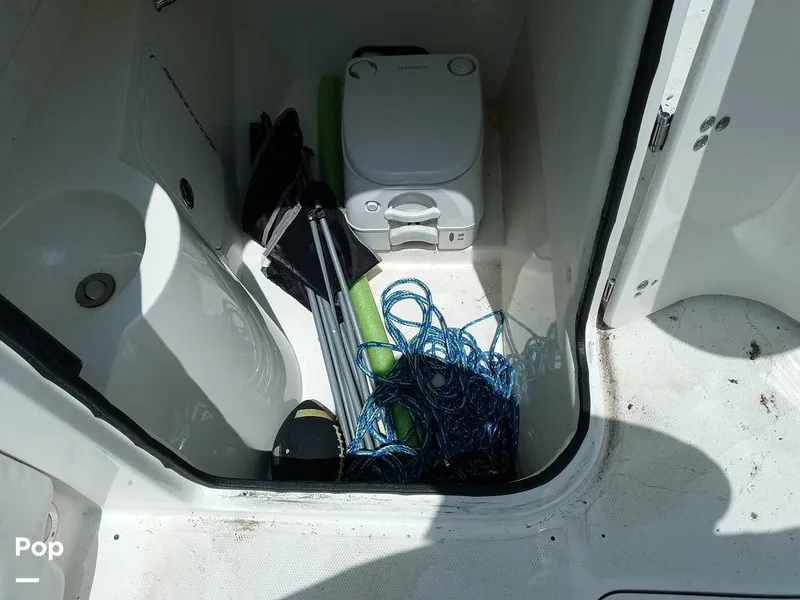 Slide: The Image of Head - 15693855