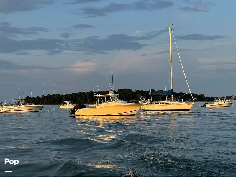 Slide: The Image of Sea Pro 270 CC 2006 - 16569156