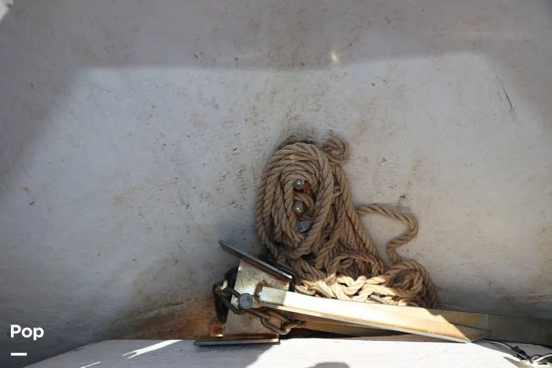 Slide: The Image of Regal LS2 2022 - 15873006