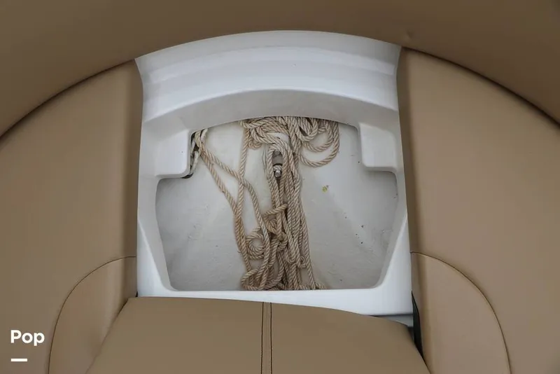 Slide: The Image of Sea Ray SPX 230 2024 - 16130614