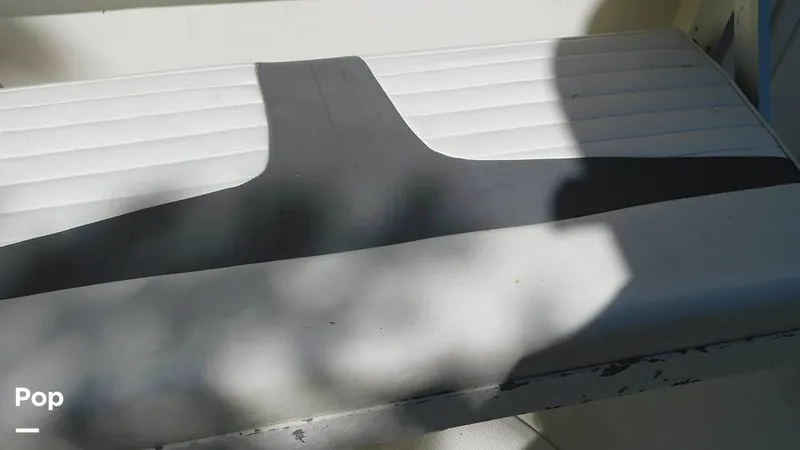 Slide: The Image of Everglades 290 Pilot 2005 - 15778841