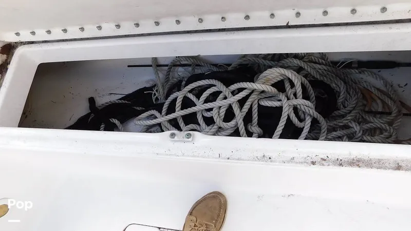 Slide: The Image of Everglades 290 Pilot 2005 - 15778905