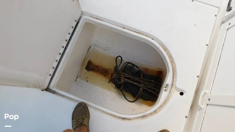 Slide: The Image of Everglades 290 Pilot 2005 - 15778912