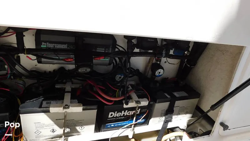 Slide: The Image of Everglades 290 Pilot 2005 - 15778919