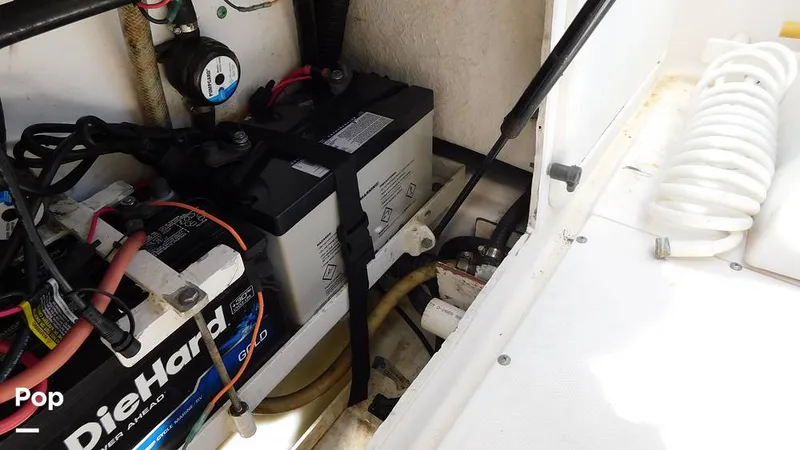 Slide: The Image of Everglades 290 Pilot 2005 - 15778920