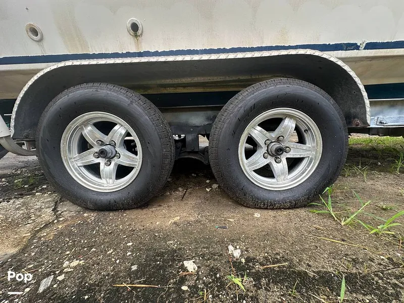 Slide: The Image of Sea Fox 257 CC 2001 - 15715406