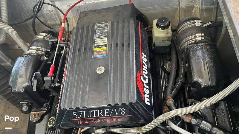 Slide: The Image of Sumerset 73 x 16 1996 - 15684849