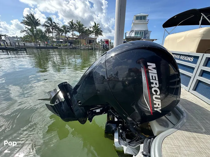 Slide: The Image of Lowe SS 230W 2024 - 15673864