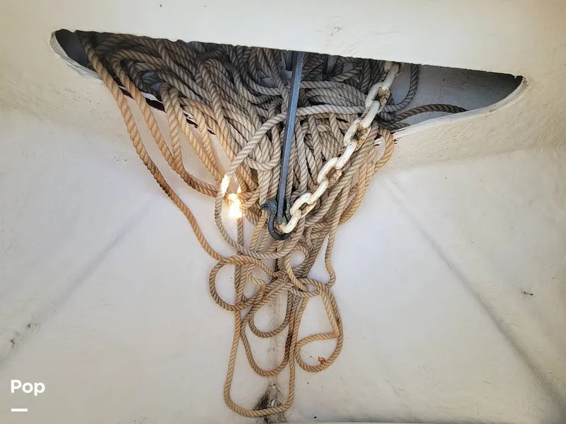 Slide: The Image of Sea Ray 240 Sundeck 2014 - 15810499