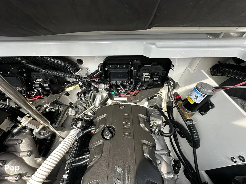 Slide: The Image of Yamaha 255XE 2024 - 15686659