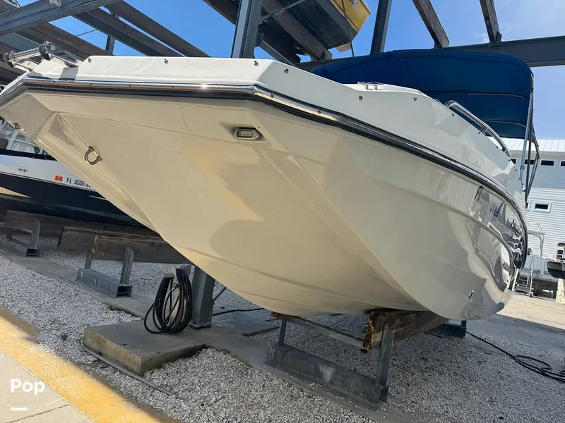 Slide: The Image of Starcraft SVX 231 2021 - 15775809