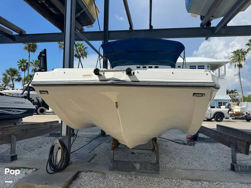 Slide: The Image of Starcraft SVX 231 2021 - 15775810