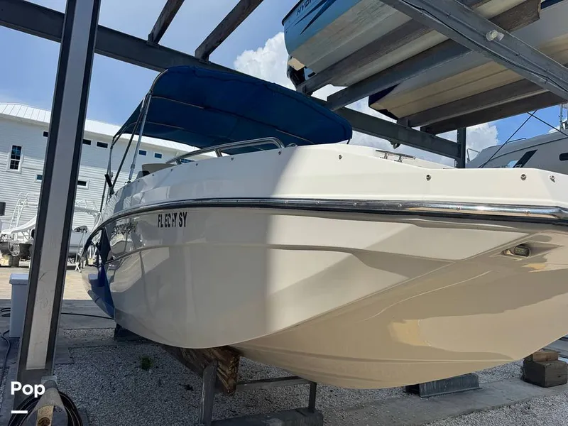 Slide: The Image of Starcraft SVX 231 2021 - 15775815