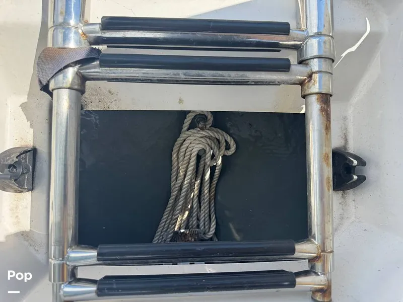 Slide: The Image of Starcraft SVX 231 2021 - 15775875