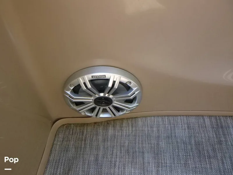 Slide: The Image of Bennington 21SXP 2020 - 15801552