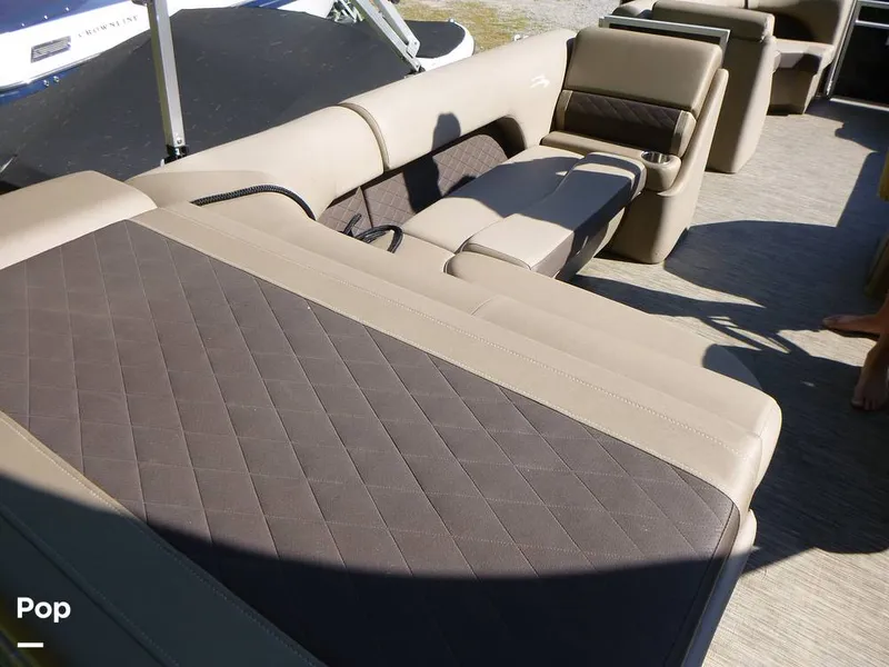 Slide: The Image of Bennington 21SXP 2020 - 15801571