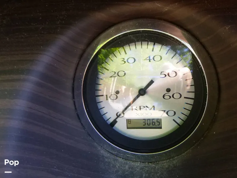 Slide: The Image of Bennington 21SXP 2020 - 15801548