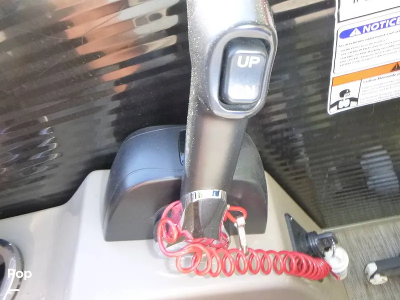 Slide: The Image of Bennington 21SXP 2020 - 15801551