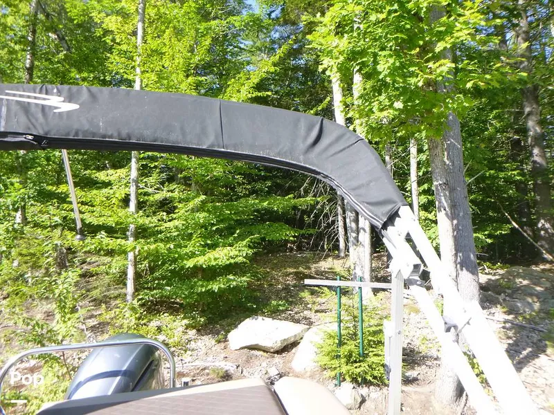 Slide: The Image of Bennington 21SXP 2020 - 15801566