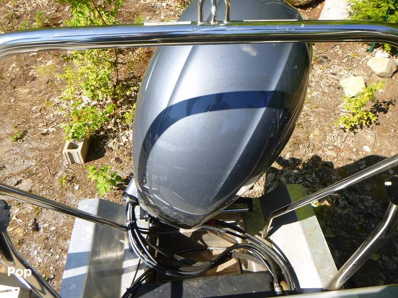 Slide: The Image of Bennington 21SXP 2020 - 15801568