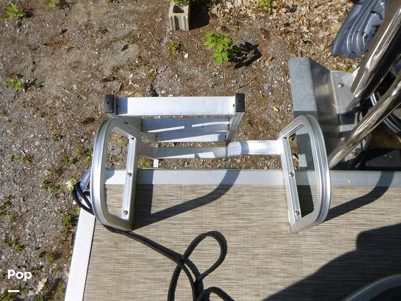 Slide: The Image of Bennington 21SXP 2020 - 15801569