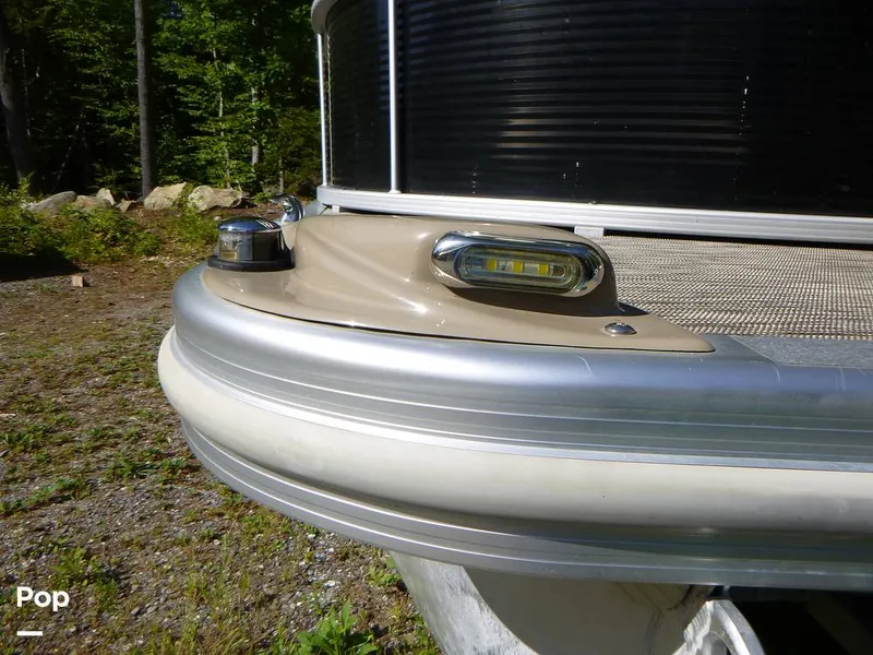 Slide: The Image of Bennington 21SXP 2020 - 15801576