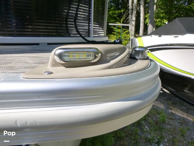 Slide: The Image of Bennington 21SXP 2020 - 15801577