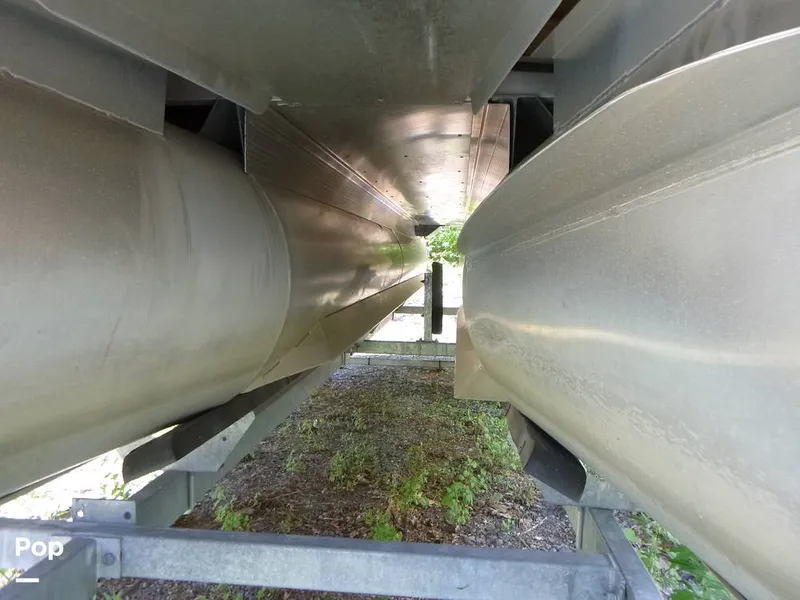 Slide: The Image of Bennington 21SXP 2020 - 15801578