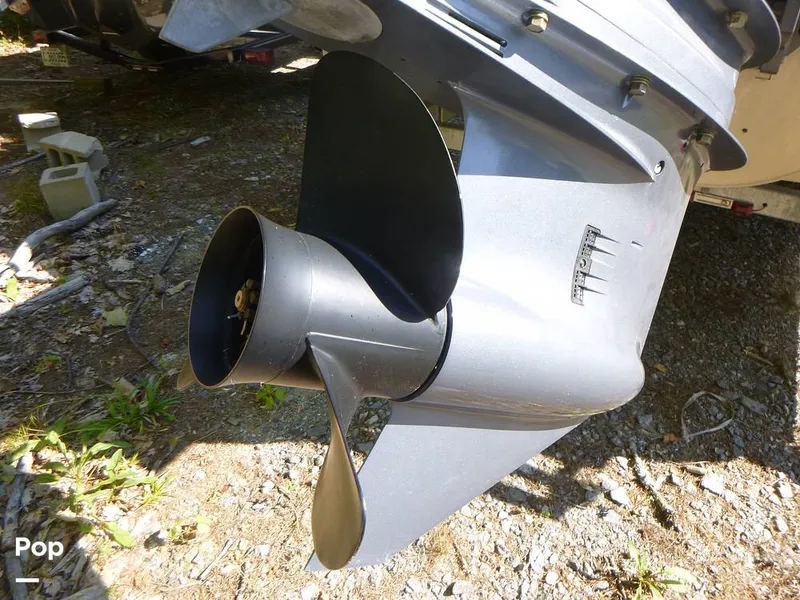 Slide: The Image of Bennington 21SXP 2020 - 15801598