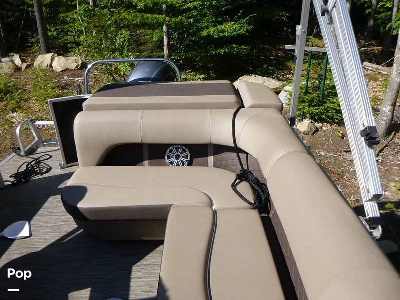 Slide: The Image of Bennington 21SXP 2020 - 15801556