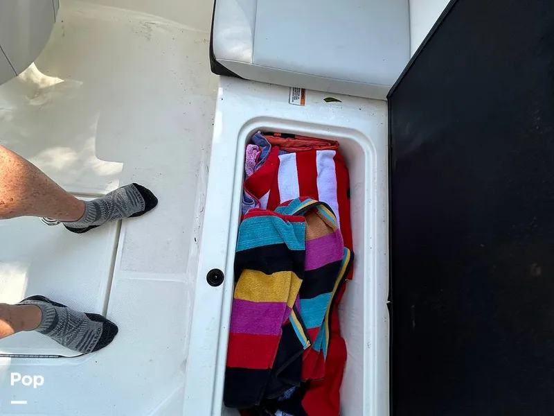 Slide: The Image of Sea Ray SPX 190 2021 - 15773099