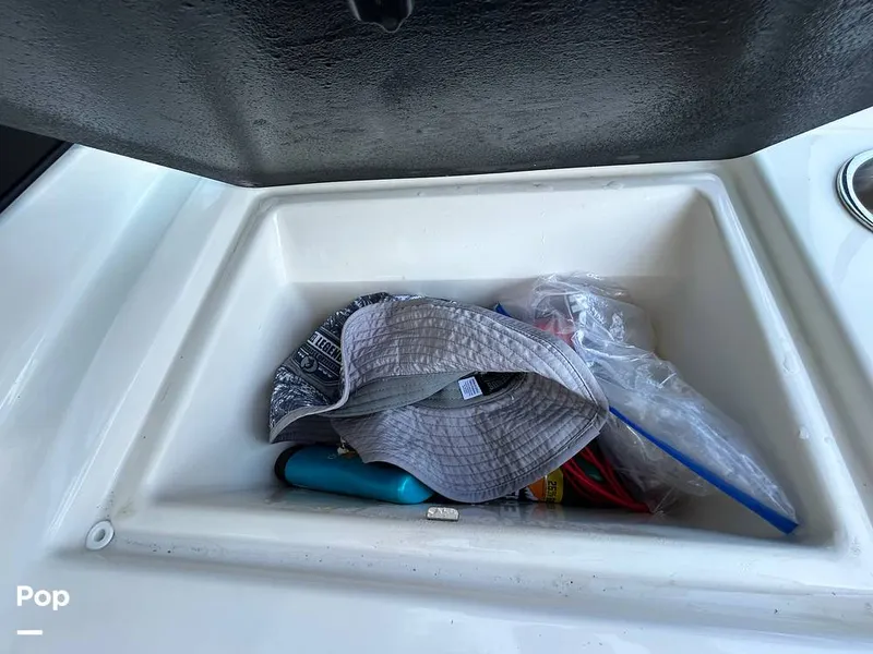 Slide: The Image of Sea Ray SPX 190 2021 - 15773113