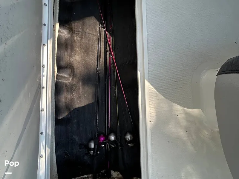 Slide: The Image of Sea Ray SPX 190 2021 - 15773117