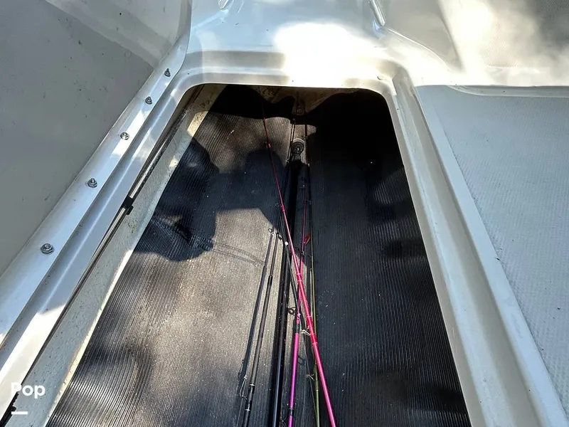 Slide: The Image of Sea Ray SPX 190 2021 - 15773118