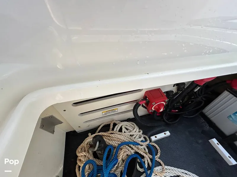 Slide: The Image of Sea Ray SPX 190 2021 - 15773131