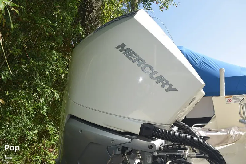 Slide: The Image of Mako 284 CC 2020 - 15913886