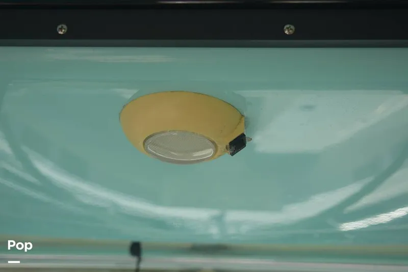 Slide: The Image of Mako 284 CC 2020 - 15913777